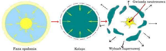 Image pulsary-img3